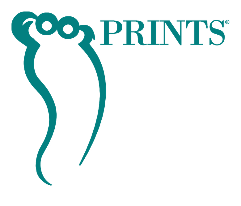 Footprints, Inc